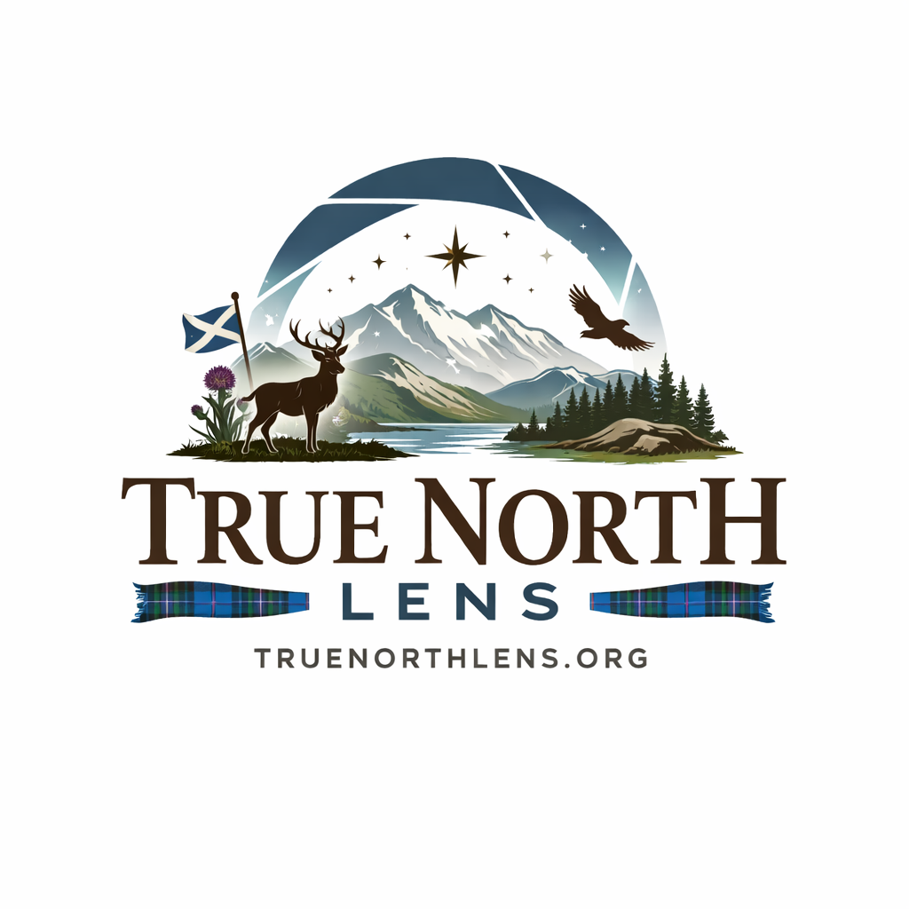 True North Lens logo